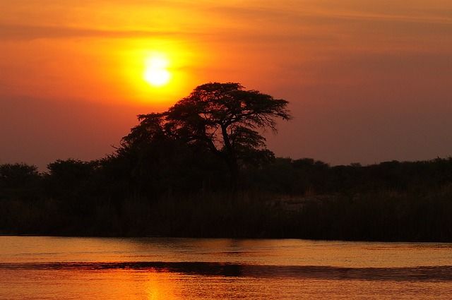 ¿Cómo preparar un viaje a África?